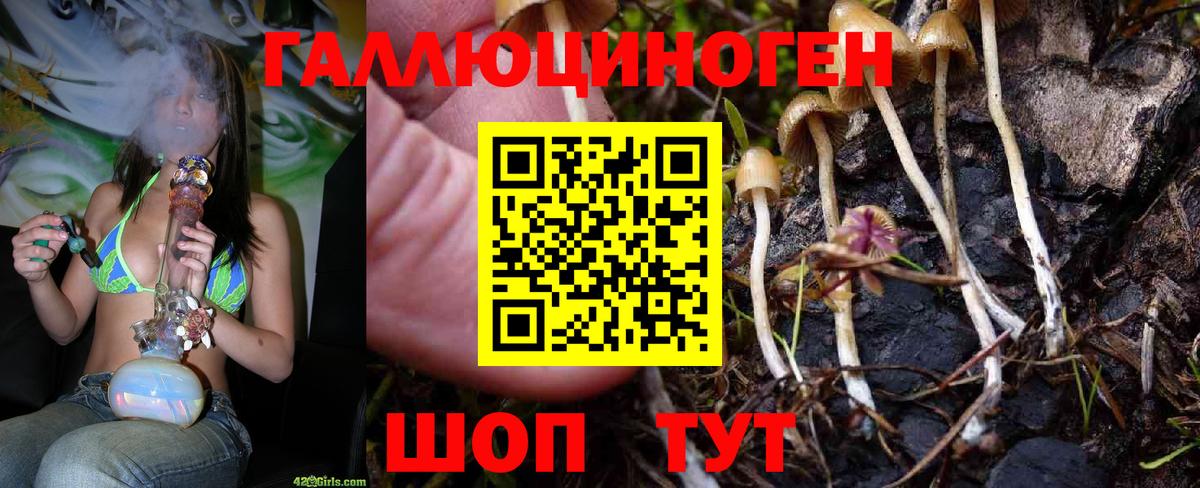 Галлюциногенные грибы GOLDEN TEACHER Южно-Сахалинск