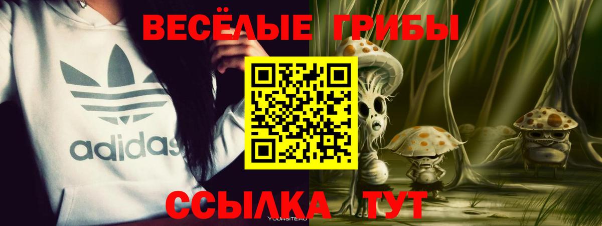 Южно-Сахалинск  Галлюциногенные грибы ЛСД  Вход с VPN 